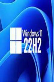Windows 11 Pro 22H2 Build 22621.900 Phoenix Liteos 11 Pro+ Christmas Spirit