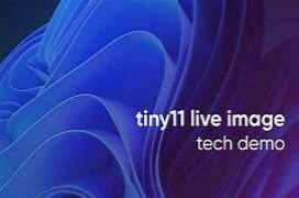 Live11 v1.0 (Windows 11 Live Disk) English 